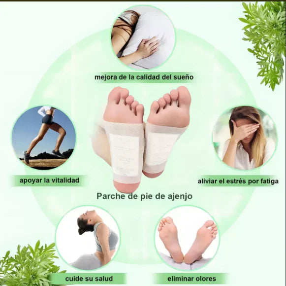 Combo 60 Parches Desintoxicantes Kinoki